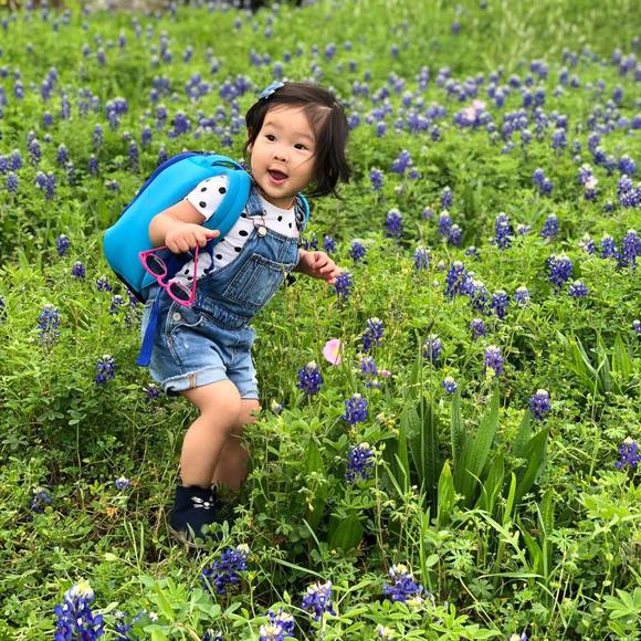 Meet your Posher, Chi - Picture 1 of 1